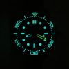 Omega Seamaster Diver 300M Co-Axial Master Chronometer James Bond Edition